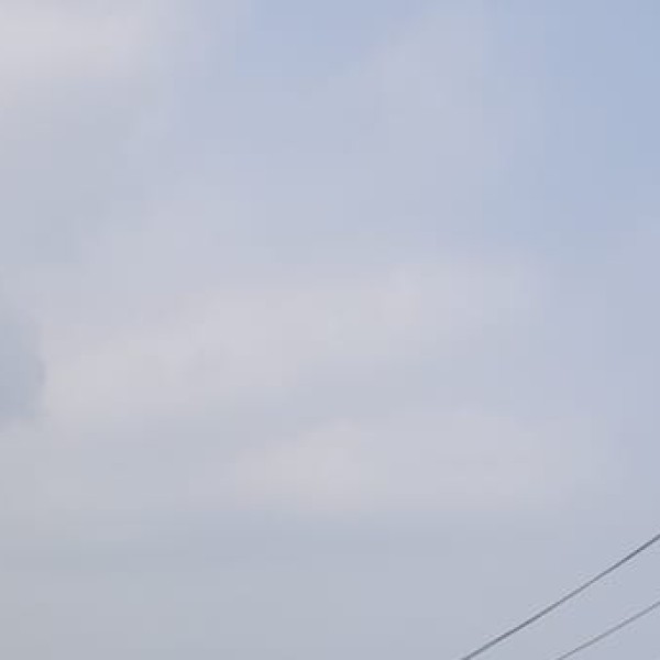 Asola Bhatti Wildlife Sanctuary