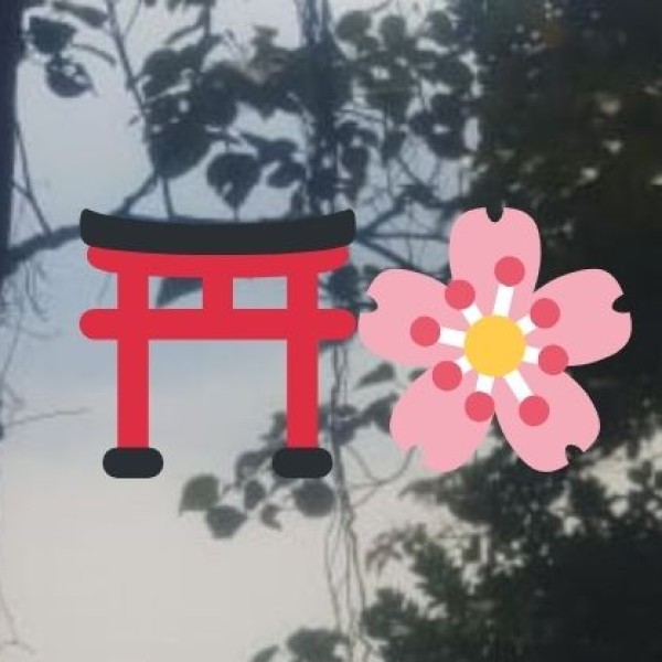 Why Explore Sikkim’s Wildlife & Nature?