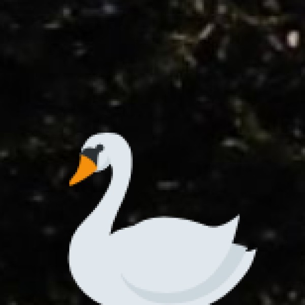 Melghat Tiger Reserve – A Remote Wilderness Experience