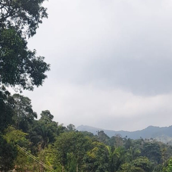Adventure & Wildlife Tourism