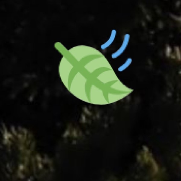 Birdwatching Hotspots in J&K