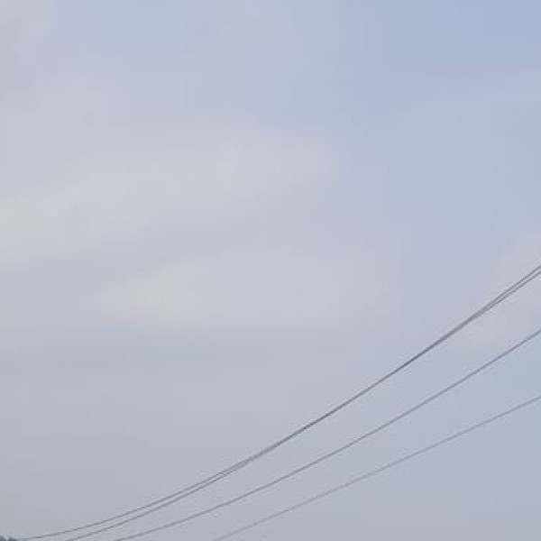 Peppara Wildlife Sanctuary