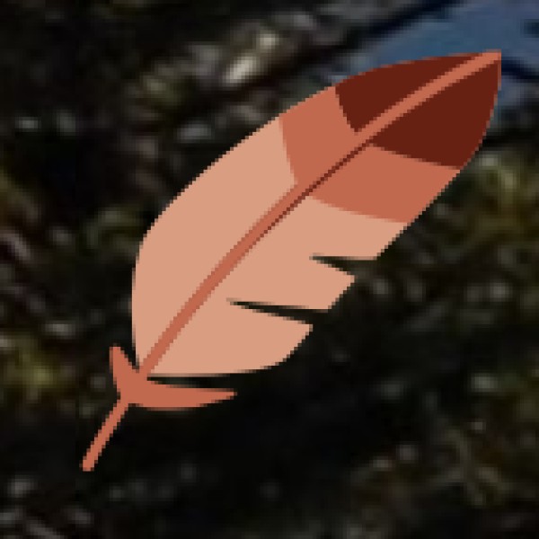 Bhigwan Bird Sanctuary – Maharashtra’s Best Birdwatching Destination