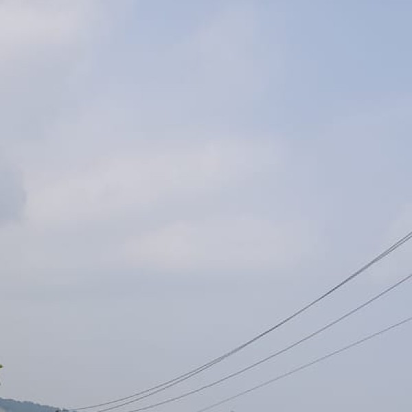 Daman & Diu's wildlife and natural beauty