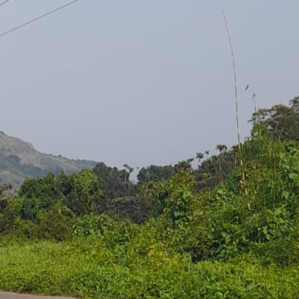 Karnataka is a nature lover’s paradise,