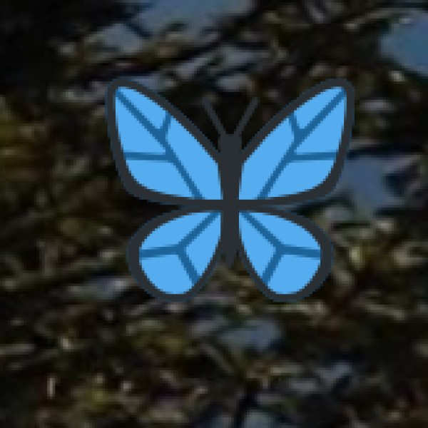 Chilika Lake – The Largest Coastal Lagoon in Asia