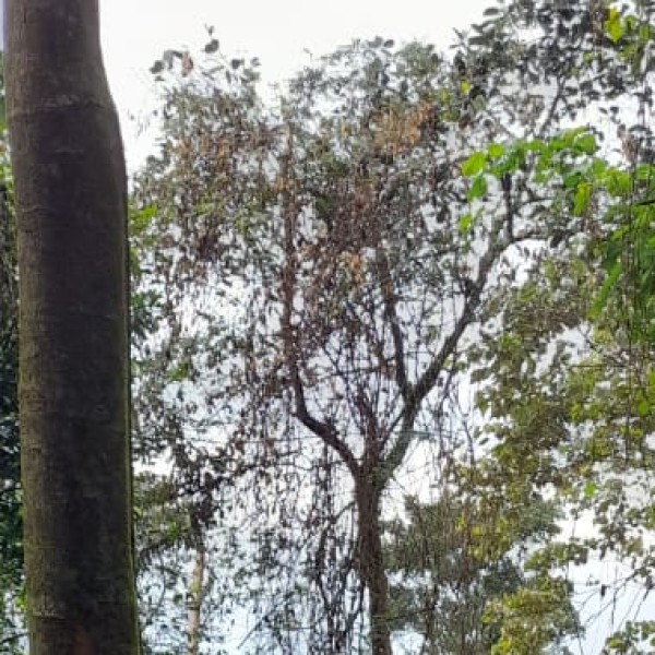 Wildlife & Nature Reserves