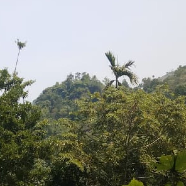 Top Wildlife Destinations