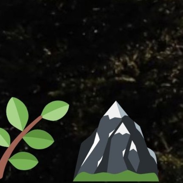 Pench National Park – Inspiration for 