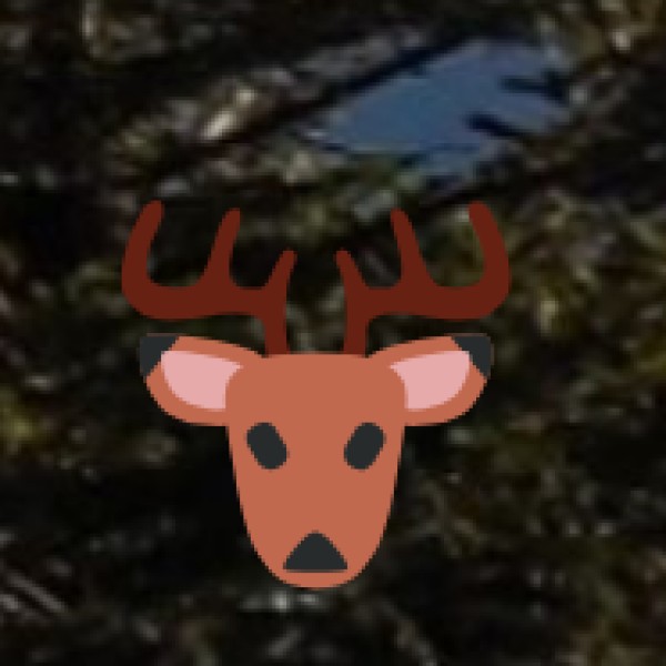 Papikonda National Park