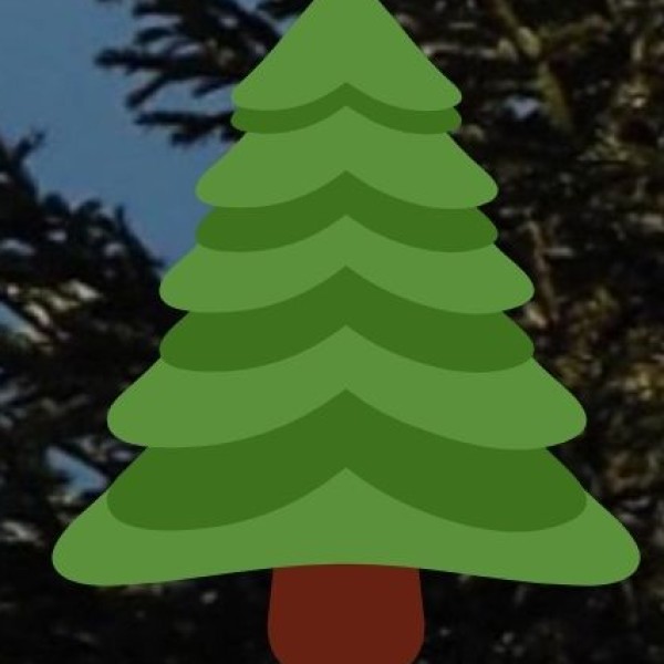 Gandhi Sagar Wildlife Sanctuary – Offbeat Safari Destination