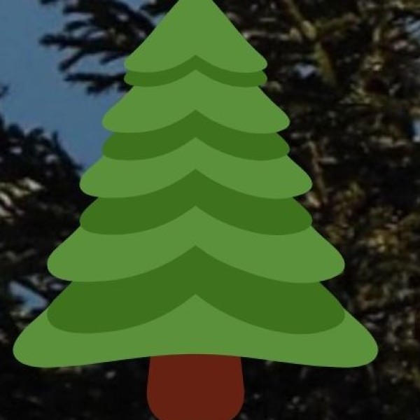 . Phansad Wildlife Sanctuary – Maharashtra’s Coastal Forest Reserve