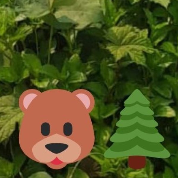 Wildlife & Nature Reserves in Uttarakhand