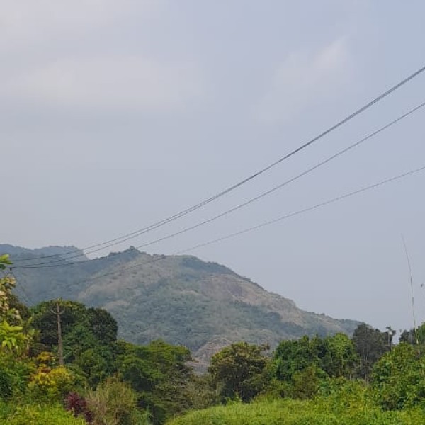 Nature and Eco-Tourism in Gujarat