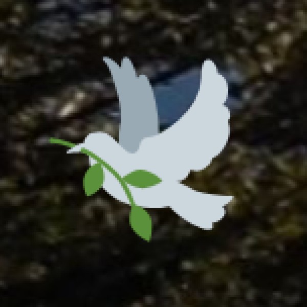 Kitam Bird Sanctuary – A Paradise for Birdwatchers