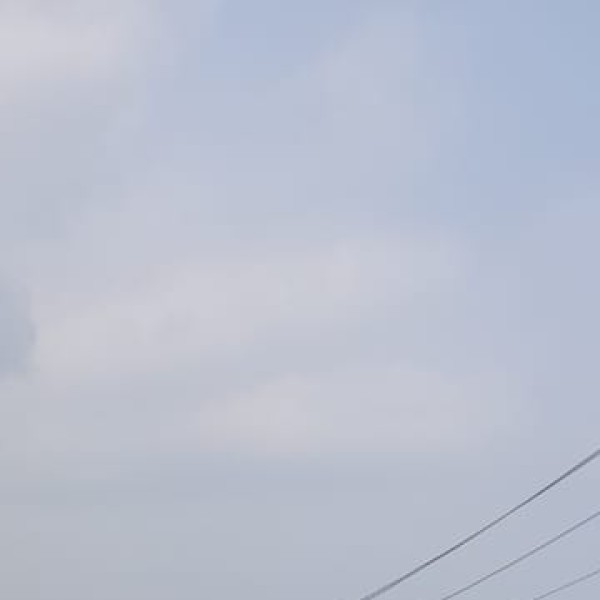 Yamuna Biodiversity Park