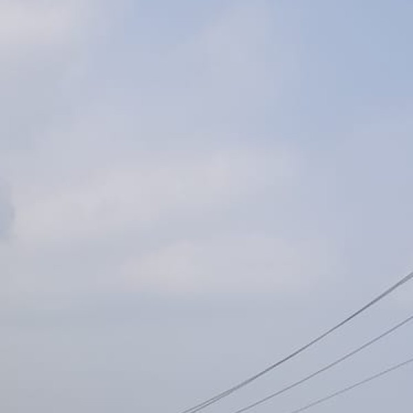 Black-Necked Crane – The Sacred Bird of Ladakh