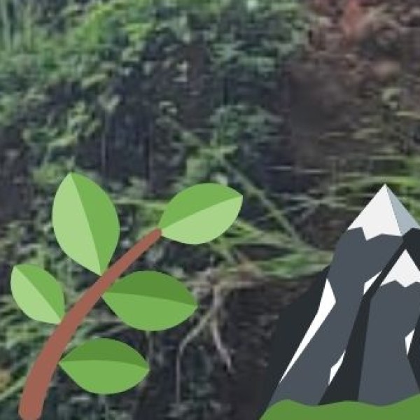 . Eturnagaram Wildlife Sanctuary – One of the Oldest in Telangana