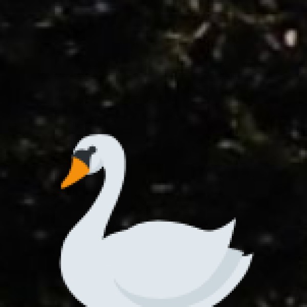 Manjeera Wildlife Sanctuary – Wetlands & Crocodile Conservation