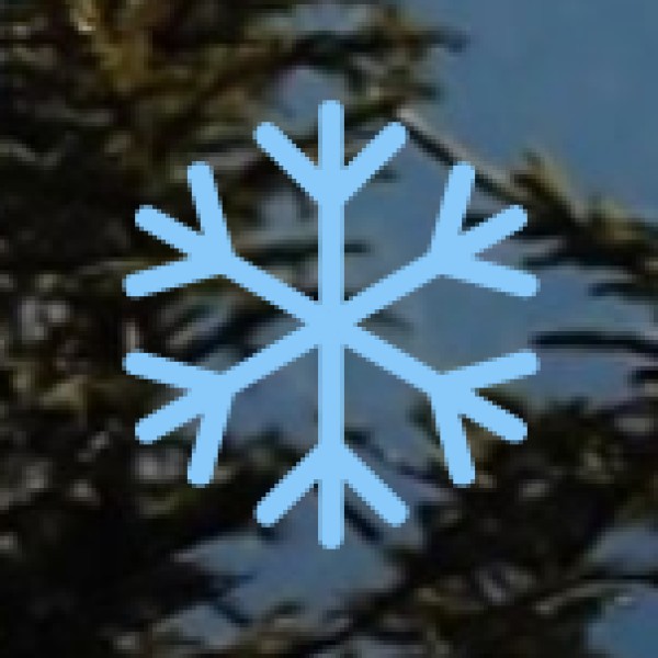 Why Visit Sikkim’s Wildlife & Nature?