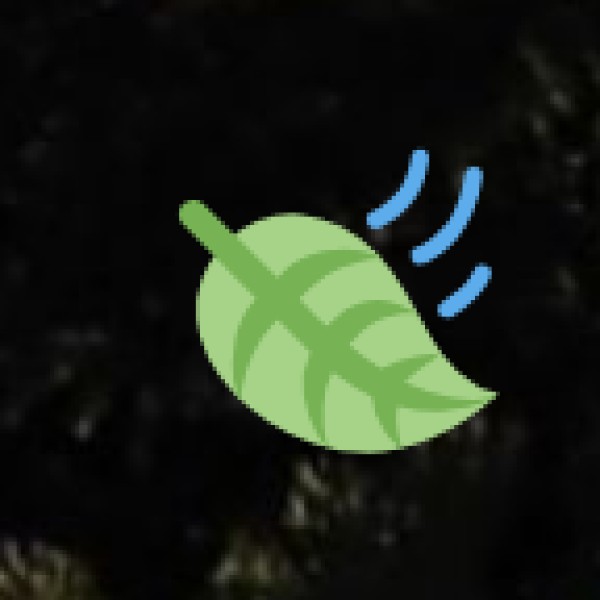 Pench National Park – Inspiration for 