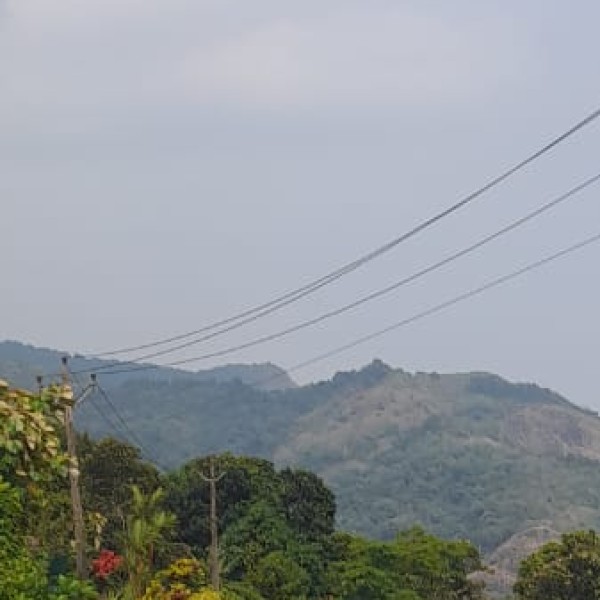 Explore the Western Ghats in Kerala