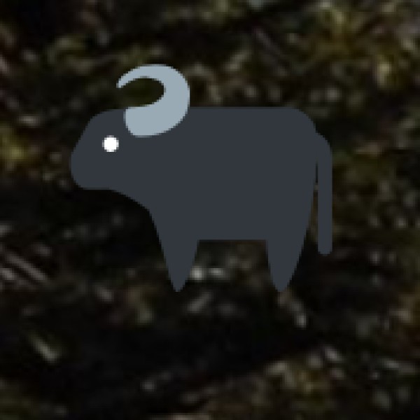 Top Wildlife Destinations