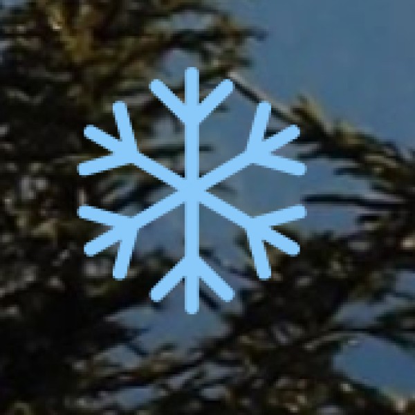 Delhi Zoo (National Zoological Park)