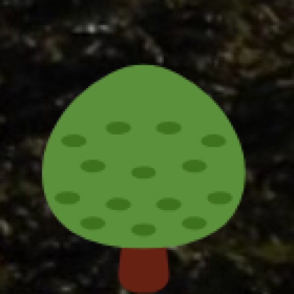 Wildlife & National Parks in Gujarat