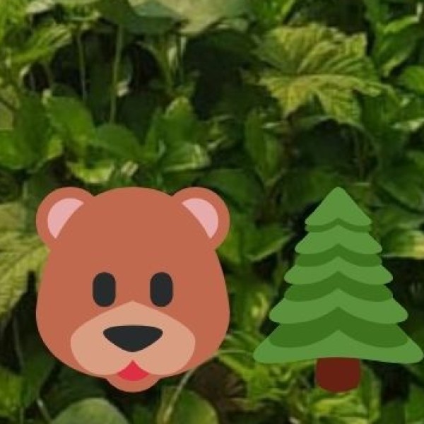 Sathyamangalam Wildlife Sanctuary