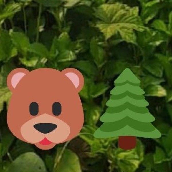 Chinnar Wildlife Sanctuary