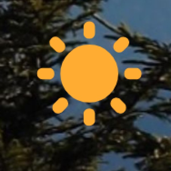 Bhitarkanika National Park – The Mangrove & Crocodile Kingdom