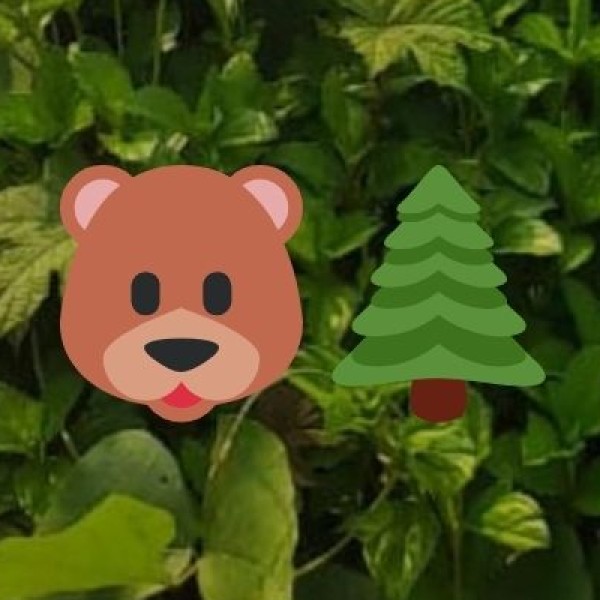 Singalila National Park – A High-Altitude Wildlife Retreat