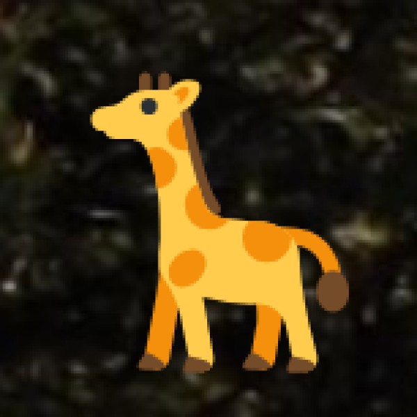 Wildlife & Nature in Ladakh