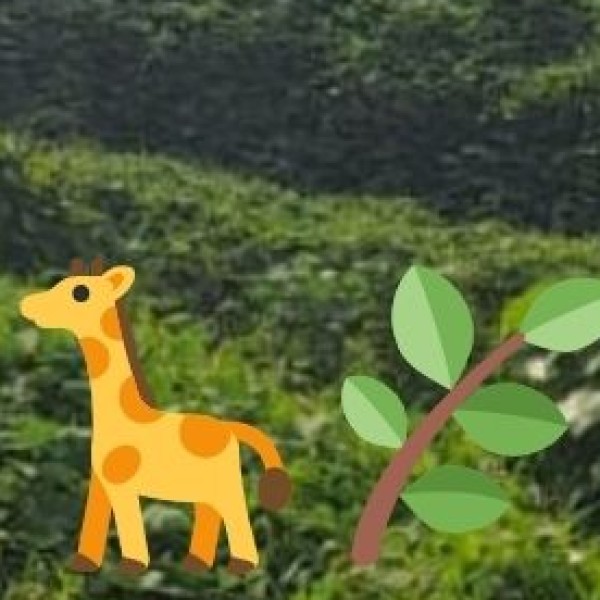 Stay in a Wildlife Jungle Lodge (Jim Corbett, Ranthambore, or Kaziranga)