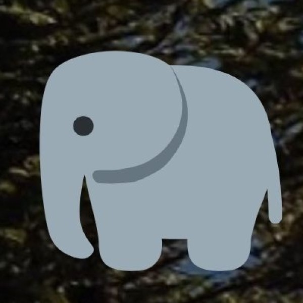 Ethical Wildlife & Nature Experiences