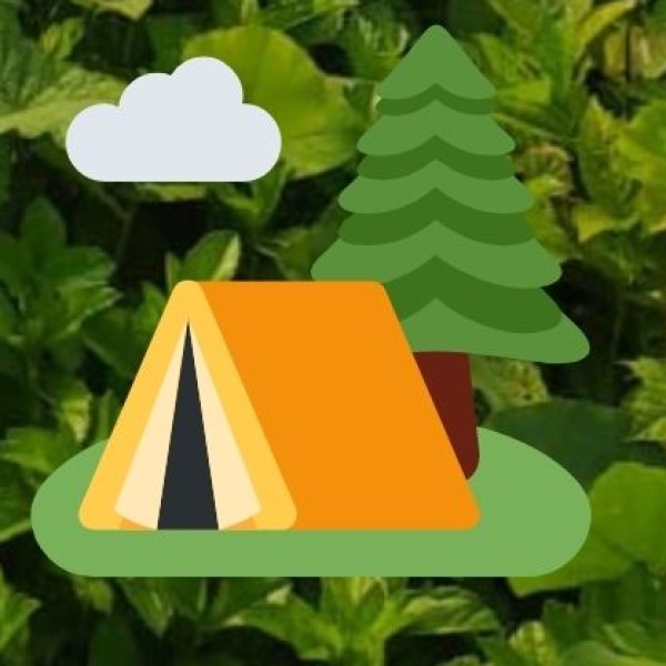 Benefits of Wildlife & Eco Tourism: