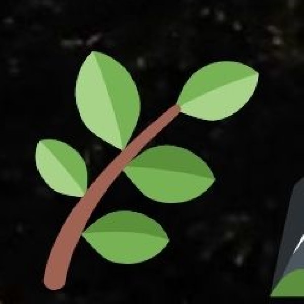 Principles of Eco-Tourism